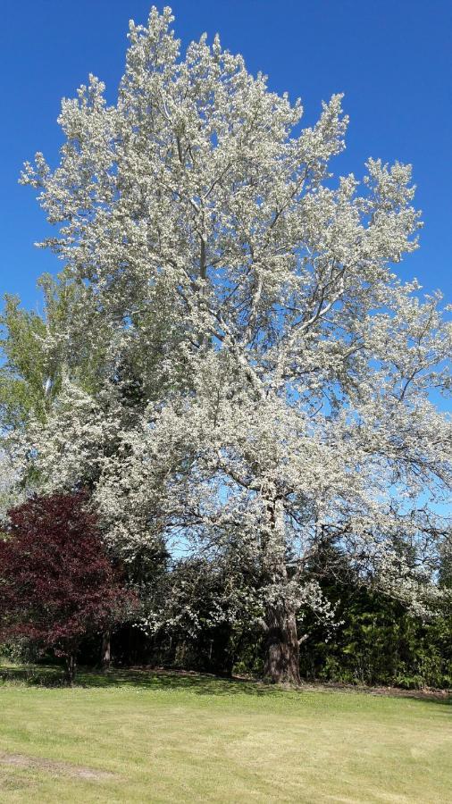 Mandacou Chambres D'Hotes Le Muguet المظهر الخارجي الصورة